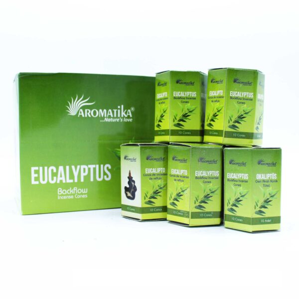 Pack of 10 Masala Backflow Incense - Eucalyptus - Image 2
