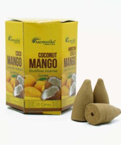 Pack of 10 Masala Backflow Incense - Coconut & Mango