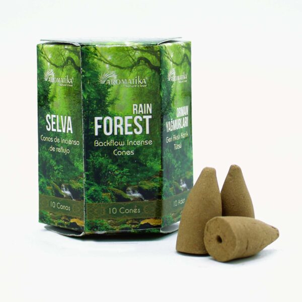 Pack of 10 Masala Backflow Incense - Rain Forest - Image 2