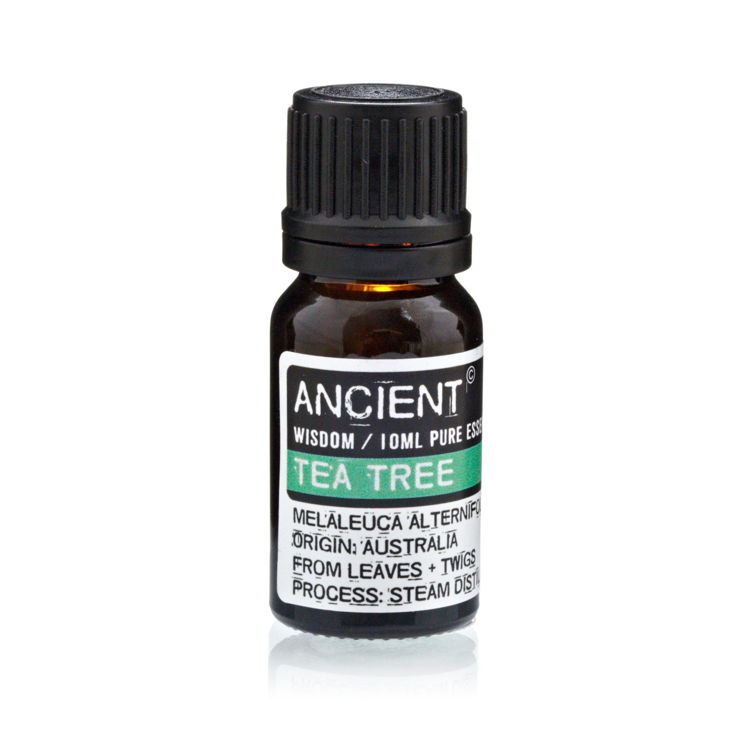 Set of Lavender, Tea Tree & Rosemary Essential Oils - 10ml Each - Image 3